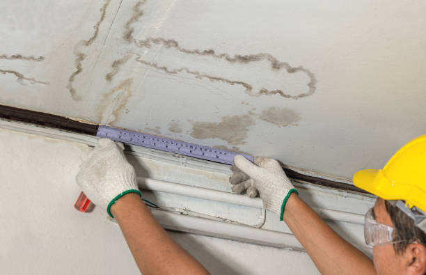 Reliable Water Damage contractor in Uniontown, WA by Water Damage Irwin